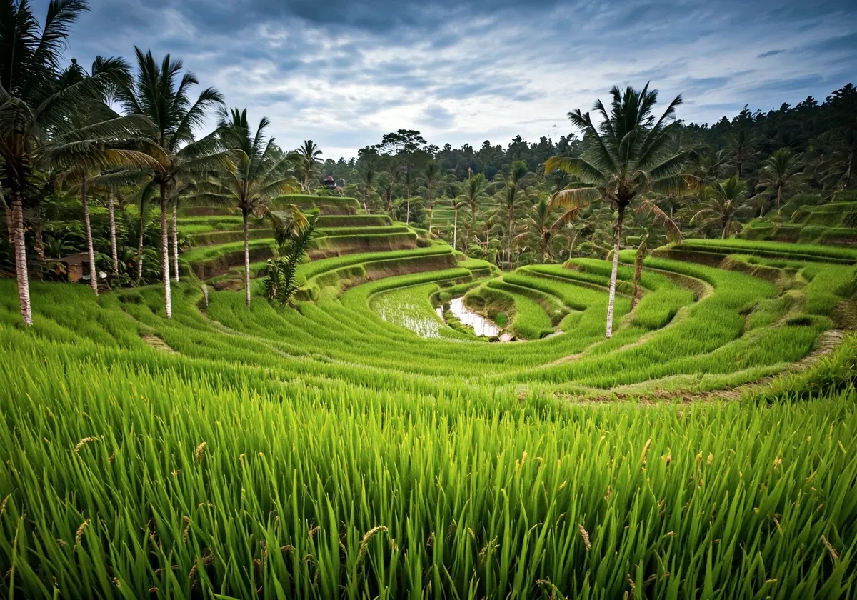 インドネシア